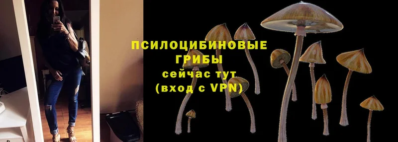 Галлюциногенные грибы MAGIC MUSHROOMS  Бугульма 